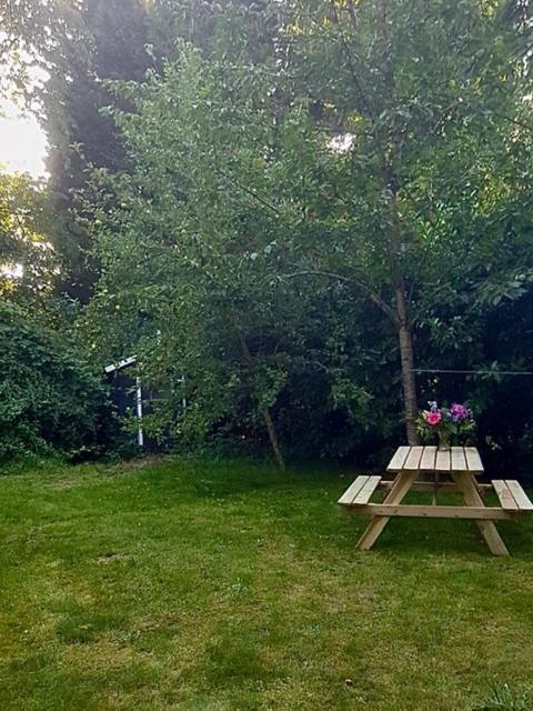 Boutique zomerhuis De groene Parel Schoorl Extérieur photo