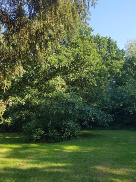 Boutique zomerhuis De groene Parel Schoorl Extérieur photo