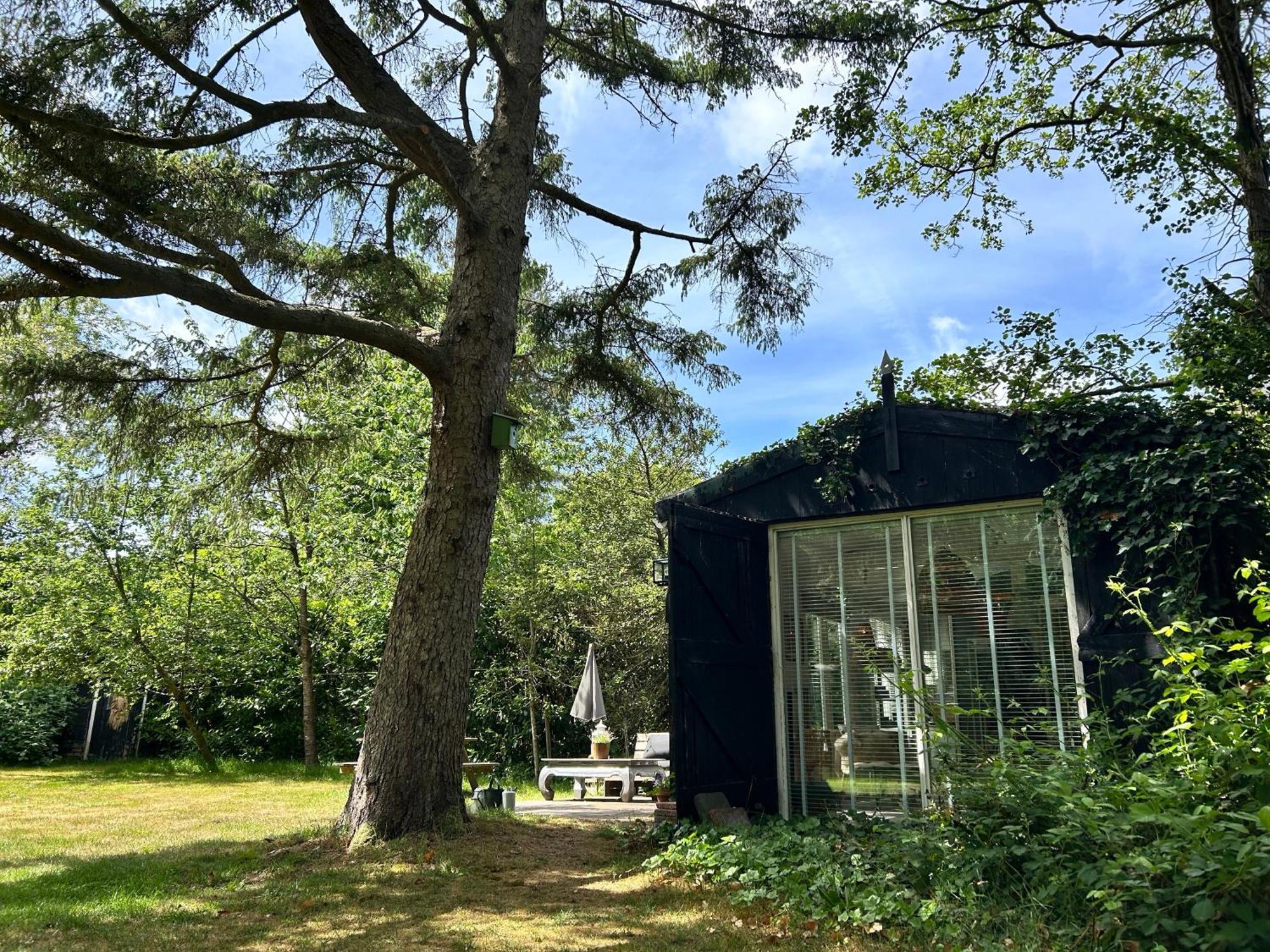 Boutique zomerhuis De groene Parel Schoorl Extérieur photo